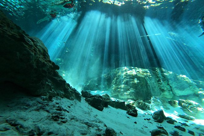 Tulum Cenote Diving. the Real Mayan Underworld - Exploring 2 Ojos Cave System