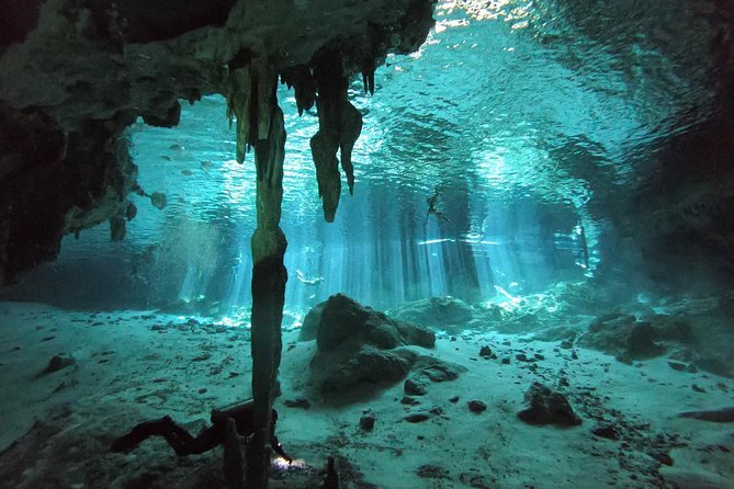 Tulum Cenote Diving. the Real Mayan Underworld - Price and Booking Information