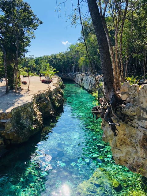 Tulum: Cenote Park Casa Tortuga & Tulum Ruins! From Tulum - Good To Know