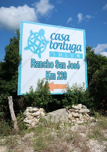Tulum: Cenote Park Casa Tortuga & Tulum Ruins! From Tulum - Additional Costs and Restrictions