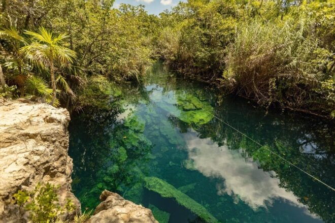 Tulum: Cenote Park Casa Tortuga & Tulum Ruins! From Tulum - Preparation and Meeting Point