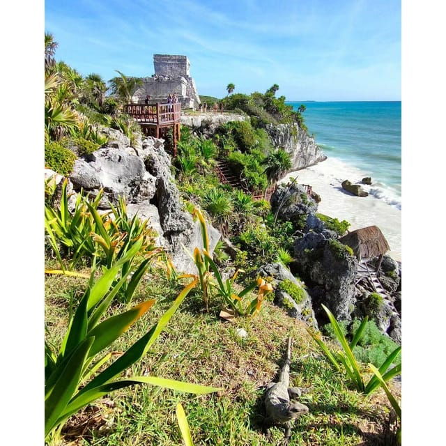 Tulum, Cenote + Swimming With Turtles PRIVATE TOUR - Good To Know