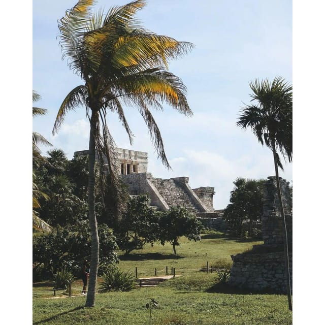 Tulum, Cenote + Swimming With Turtles PRIVATE TOUR - Itinerary Highlights