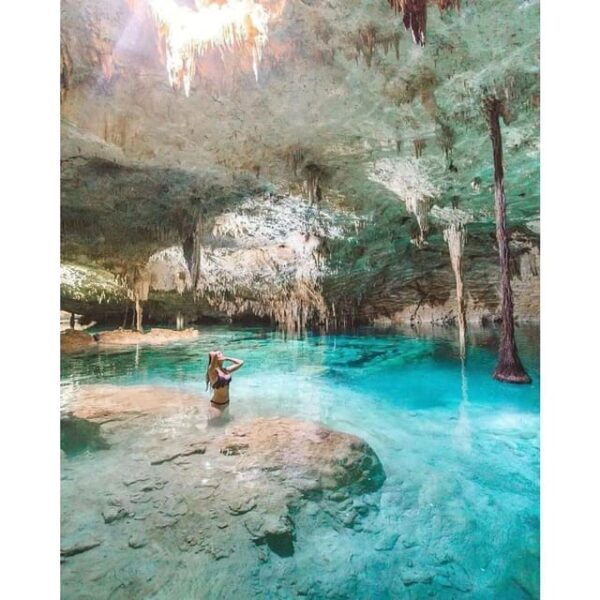 Tulum, Cenote + Swimming With Turtles PRIVATE TOUR - Cenote Experience