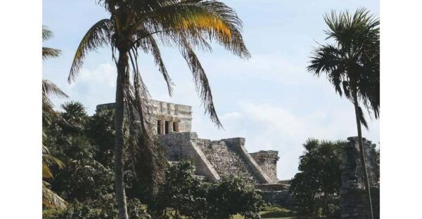 Tulum, Cenote + Swimming With Turtles PRIVATE TOUR - Tour Recommendations