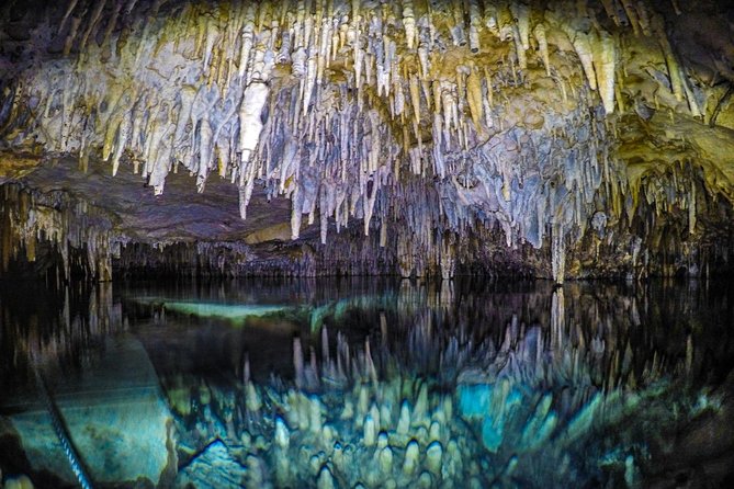 Tulum Cenotes Park Hidden Treasures Tour From Puerto Aventuras  - Playa Del Carmen - Reviews
