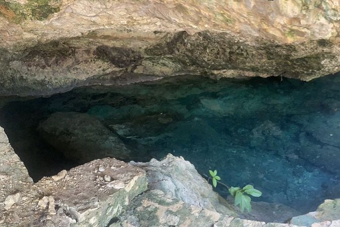 Tulum Cenotes Park Hidden Treasures Tour From Puerto Aventuras  - Playa Del Carmen - Hidden Treasures in Tulum