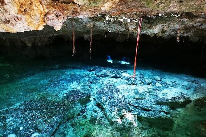 Tulum & Cenotes Private Tour - Who Will Love This Tour?