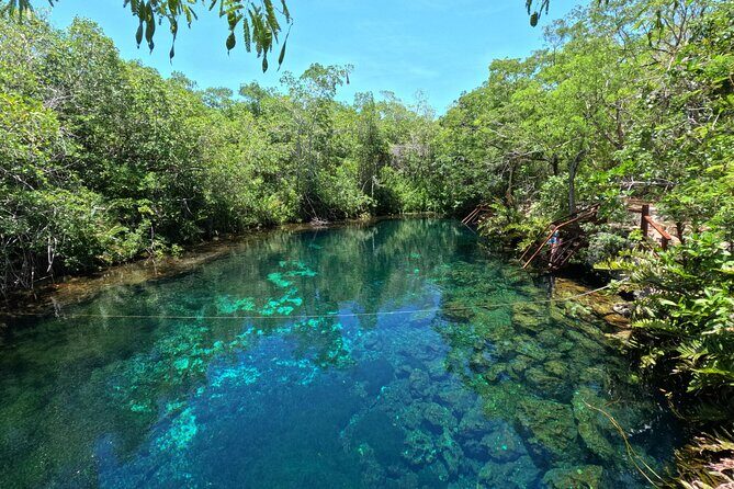 Tulum Cenotes Tour Experience - FAQ