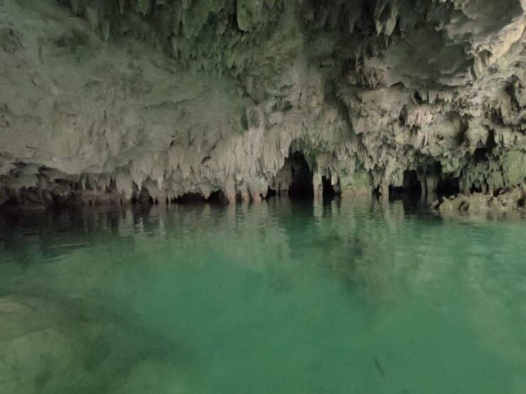 Tulum Cenotes: Yum Ha, Luna, and Sombra Cenotes Tour, Lunch - Itinerary and Transportation