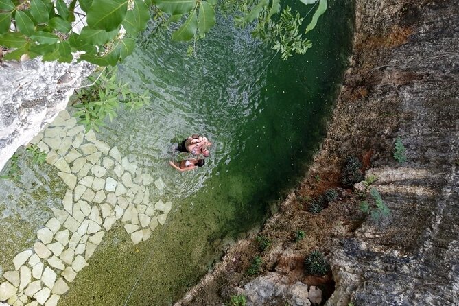 Tulum: Chocolate & Honey Sanctuary Experience With Cenote - Reviews and Feedback