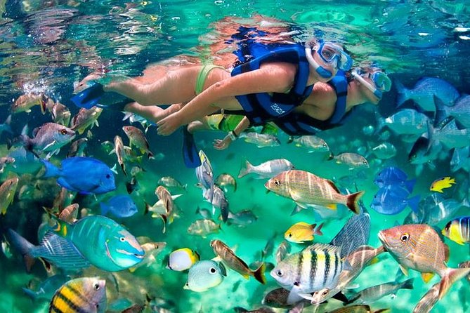 Tulum Coba Akumal Snorkel Tour Premium Service Small Group - Professional Guide Insights