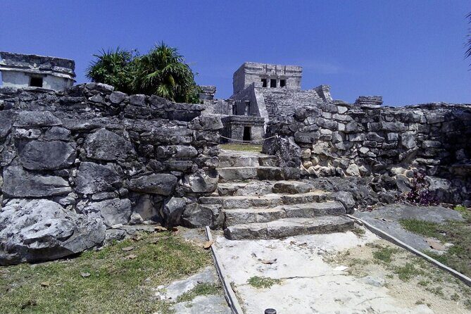 Tulum, Coba, Cenote & Playa del Carmen Tour - The Sum Up: Is this tour right for you?