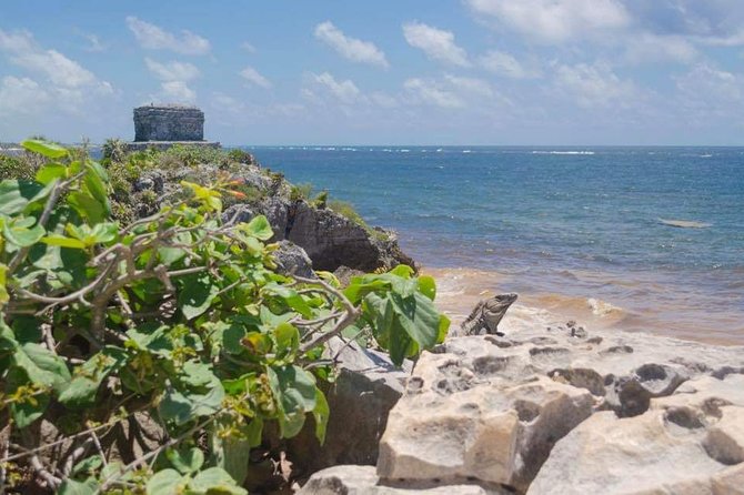 Tulum & Coba Private Tour - Terms & Conditions