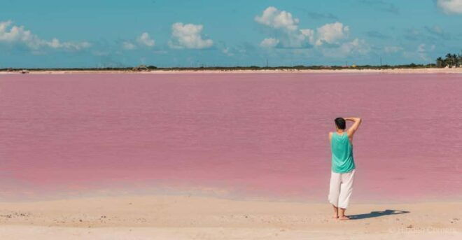 Tulum: Coloradas & Rio Lagartos Biosphere! Crocodile Farm - Transportation and Meeting Point