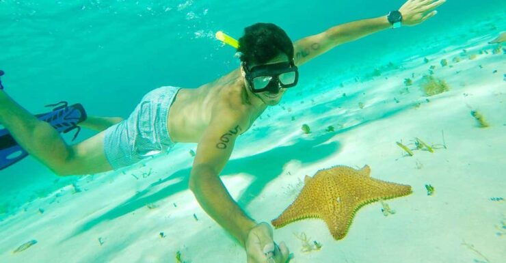 Tulum: Cozumel Cielo Adventure! Round Trip From Tulum City - Pricing and Inclusions