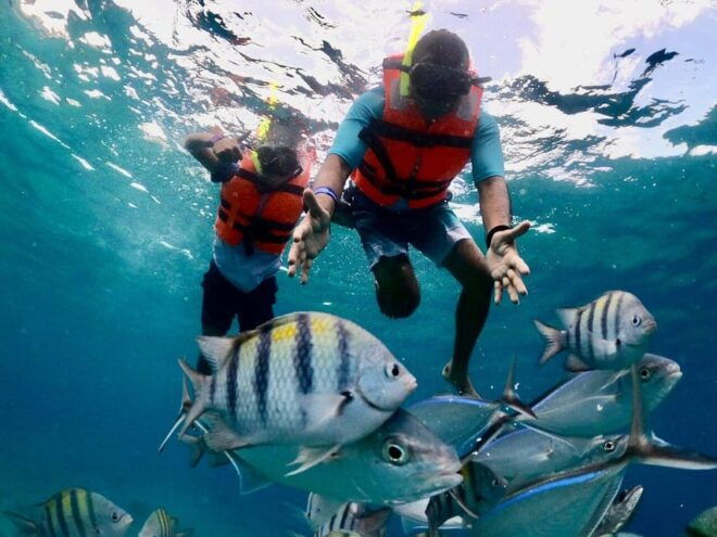 Tulum: Cozumel Cielo Adventure! Round Trip From Tulum City - Snorkeling Destinations