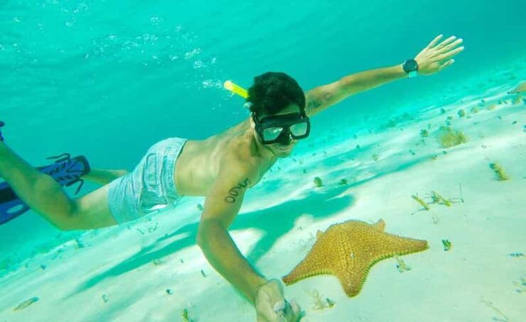Tulum: Cozumel Cielo Adventure! Round Trip From Tulum City - Pricing and Inclusions