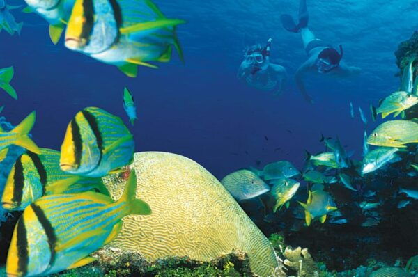 Tulum: Cozumel Cielo Adventure! Round Trip From Tulum City - Restrictions and Recommendations