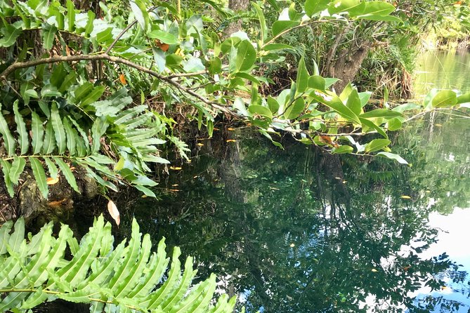 Tulum Cycling and Cenotes: Small-Group Tour - Cycling Adventure