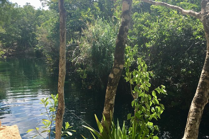 Tulum Cycling and Cenotes: Small-Group Tour - The Sum Up