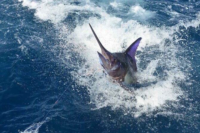 Tulum Deep Sea Fishing Tour - Tips for a Successful Fishing Tour