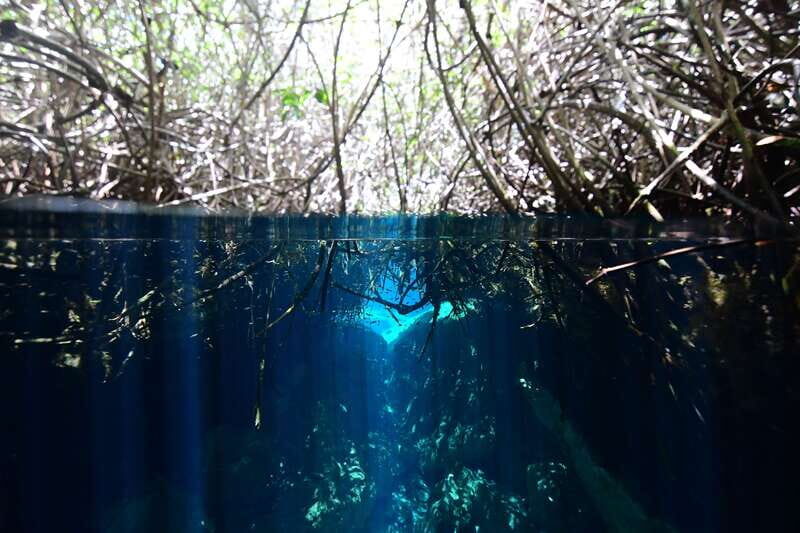 Tulum: Discover Scuba Diving in Cenotes - Good To Know