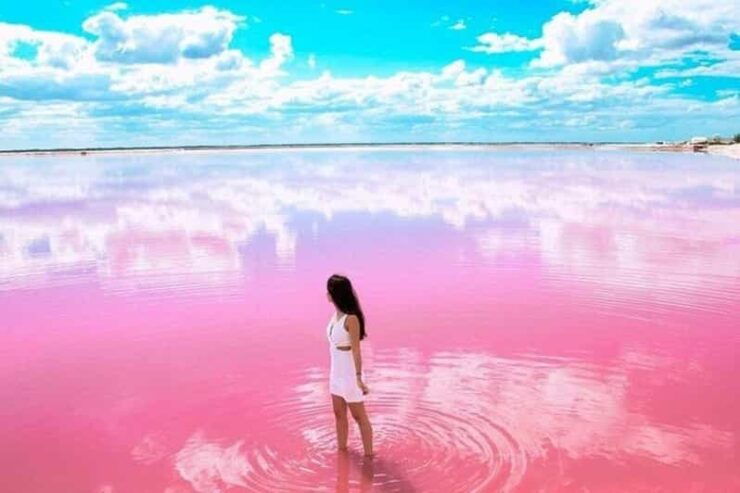 Tulum: Explore Las Coloradas & Rio Lagartos - Good To Know