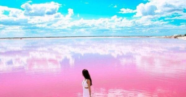 Tulum: Explore Las Coloradas & Rio Lagartos - Duration, Price, and Cancellation