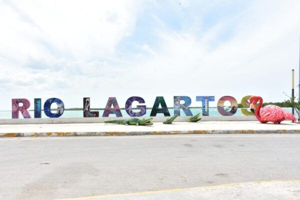 Tulum: Explore Las Coloradas & Rio Lagartos - Transportation and Logistics