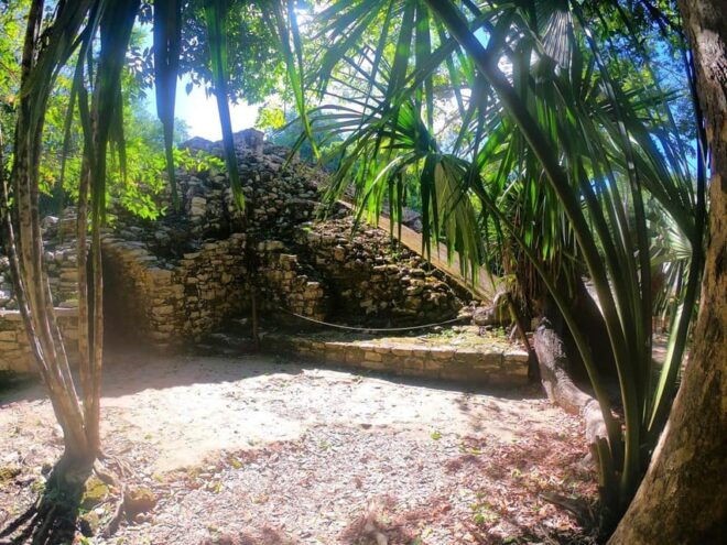 Tulum: Explore Mayan Ruins at Coba and Swim in Cenotes - Cave-Like Cenote Experiences