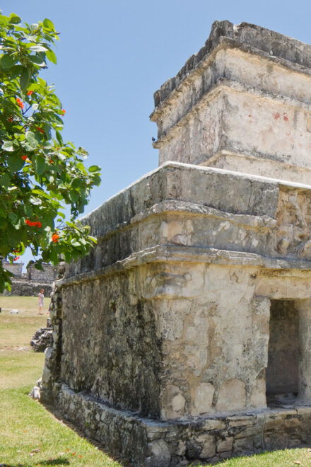 Tulum Express: Group Tour - Inclusions