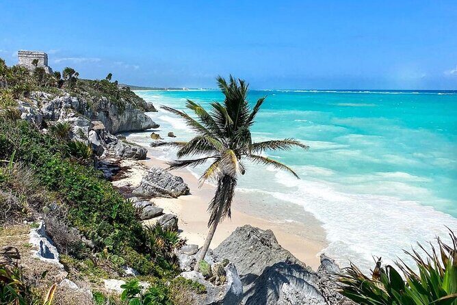 Tulum Express Private Tour with Museum and Beach. Half a day - A Deep Dive into the Tulum Experience