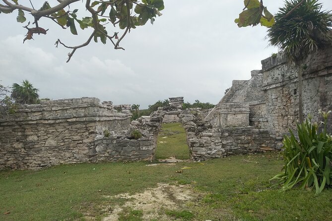 Tulum Guided Tour and Cenote Swim From Playa Del Carmen - Common Questions