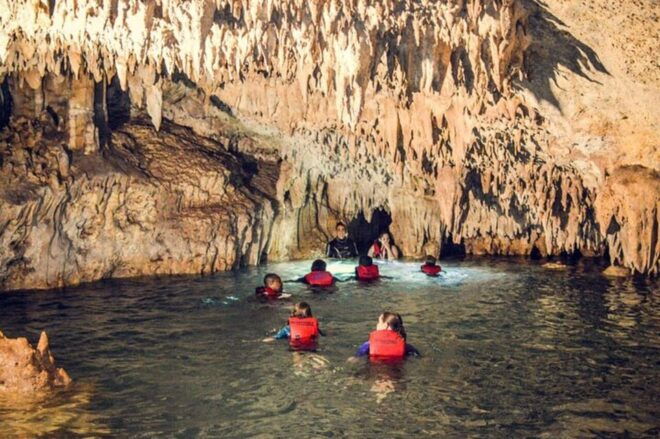 Tulum: Half Day Nature Experience! Turtles & Cenote - Participant Restrictions