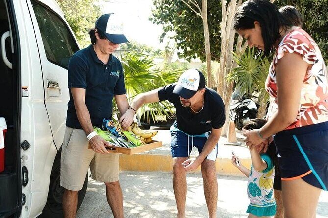 Tulum Half Day Plus Jaguar Park and Playa Paraíso Tour - Good To Know