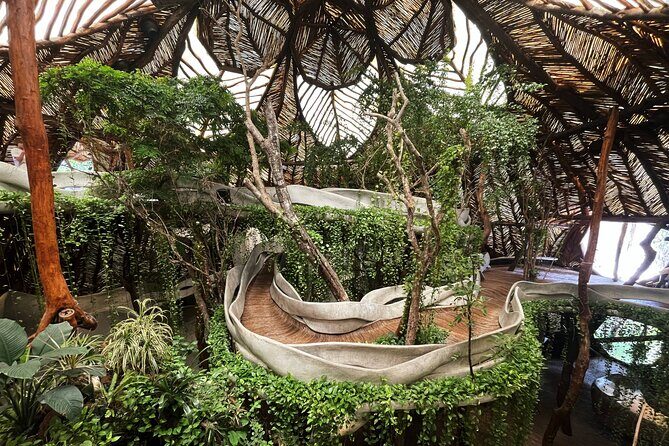 Tulum Highlights Early Easy and Crowd Free - Secluded Cenote: An Unforgettable Swim