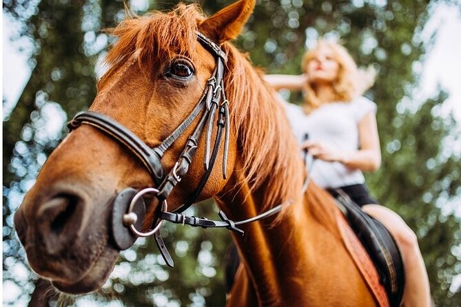 Tulum Horseback Riding Tour With Lunch - Booking Information