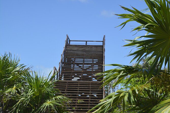 TULUM Jaguar Park Day Pass - Who Is This Tour Best For?  