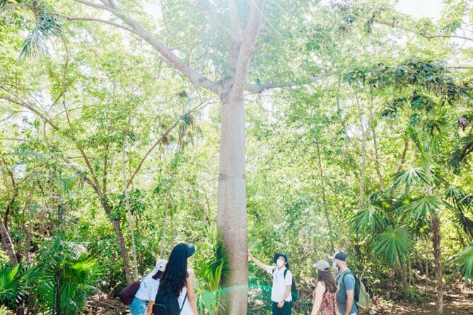 Tulum, Jungle ATV and Cenote Adventure - The Itinerary Breakdown: What You Can Expect