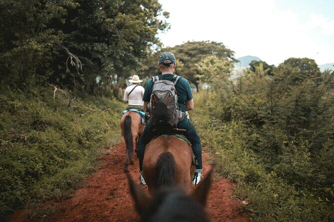 Tulum Jungle Horseback Ride + ATV + Ziplines + Cenote Combo Tour - Final Thoughts