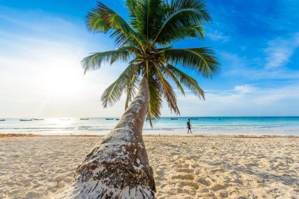 Tulum: Kaan Luum Lagoon, Playa Paraiso & 3 Cenotes Adventure - Cenote Experiences
