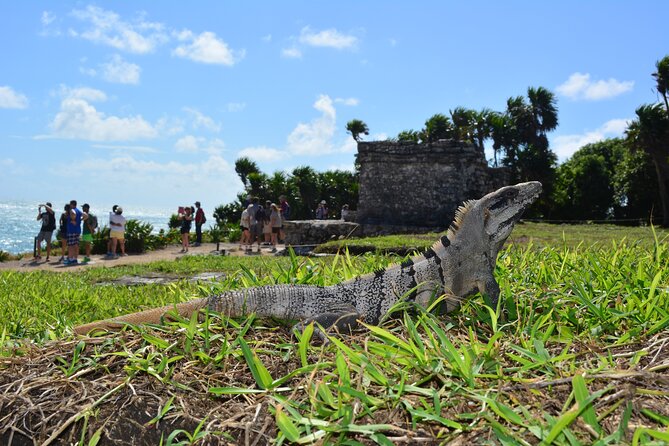 Tulum Mayan Ruins Express Shared Tour - Contact Information