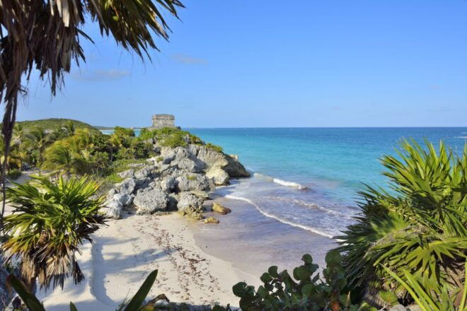 Tulum: Mayan Ruins, Statue Ven a La Luz, and 4 Cenotes Tour - Customer Reviews and Ratings