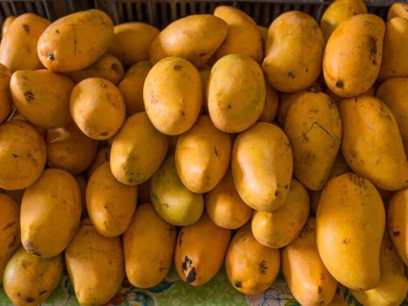 Tulum: Mexican Cooking Class in Local Home - Who Will Love This Experience