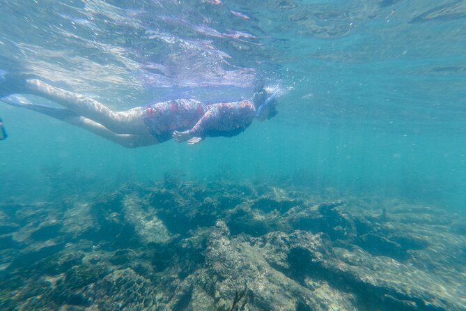 Tulum National Park Reef Snorkeling Excursion - Additional Info and Logistics