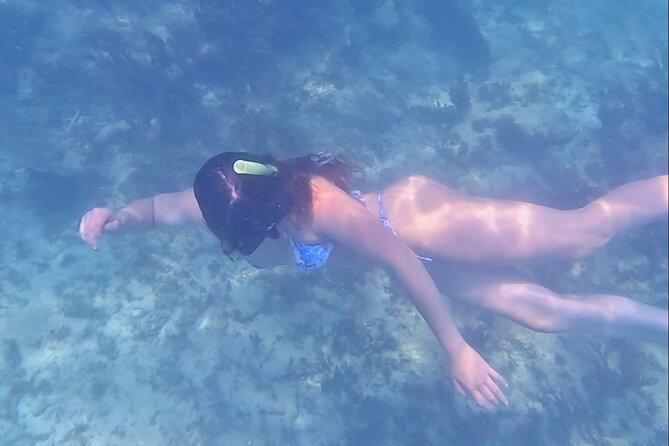 Tulum National Park Reef Snorkeling Excursion - Common Questions