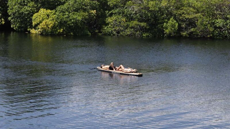 Tulum: Pargo Restaurant Cenote Dining Experience - Who Should Consider This Tour?