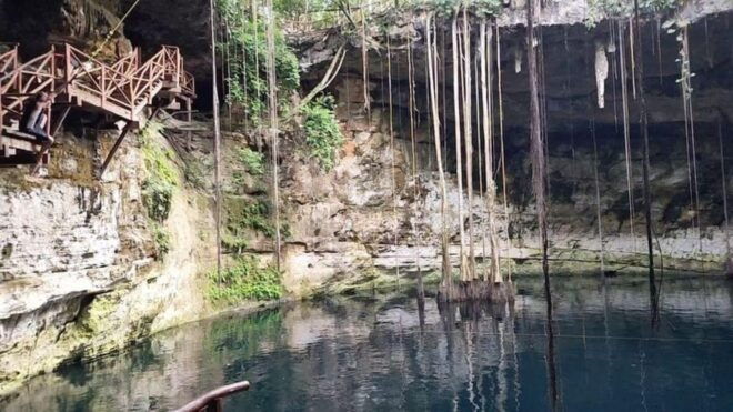 Tulum: Private Guide to the Most Pictured Cenote - Guided Adventure