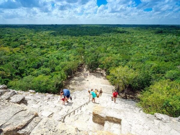 Tulum: PRIVATE TOUR Ruins & Turtle Bay & Cenote for 8 People - Drop-off Locations